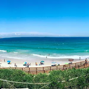Dora , Florianópolis Brasil